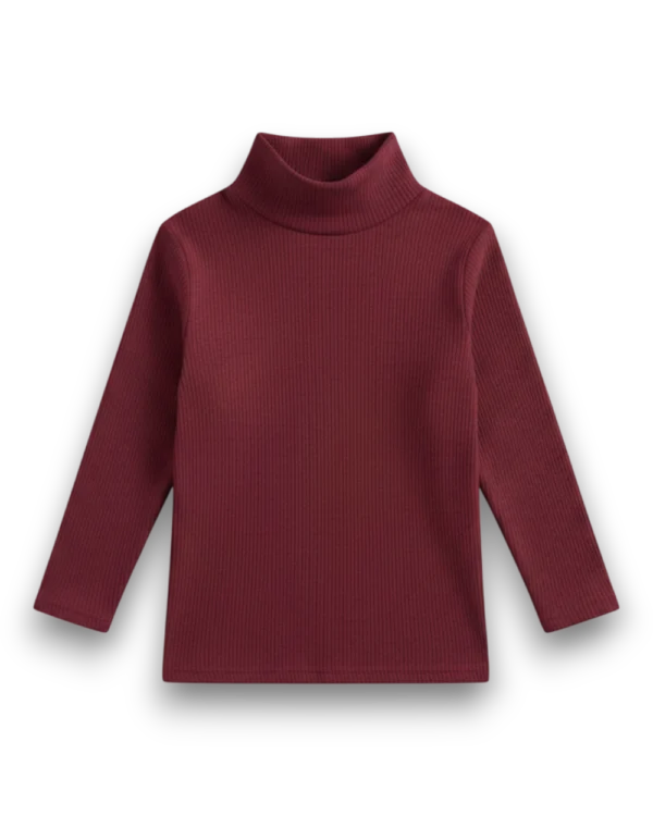 High Neck Maroon Colour